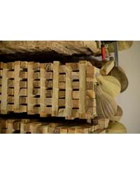 کارگاه سازسازی