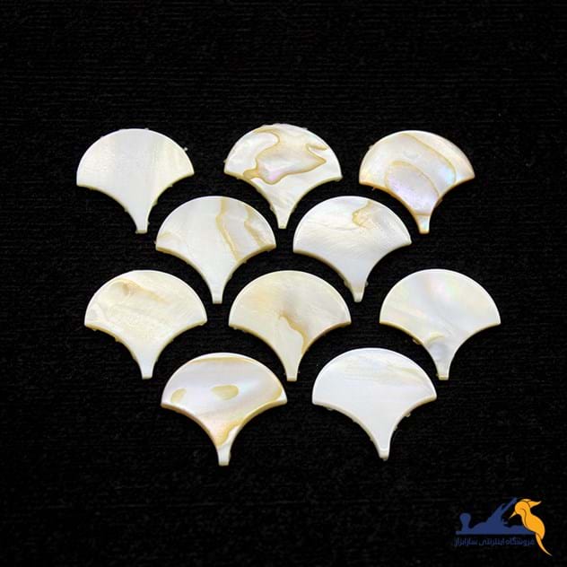 صدف طبیعی پولکی (بسته 10 عددی)