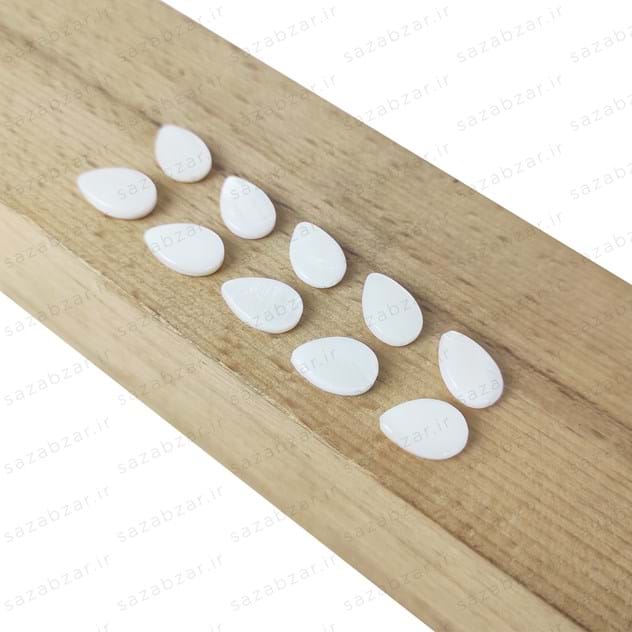 صدف طبیعی طرح اشک (بسته 10 عددی)