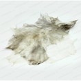 پوست تار طبیعی درجه 1 (تو دلی)