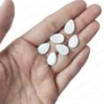 صدف طبیعی طرح اشک (بسته 10 عددی)