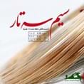 سیم سه تار دست کامل سازابزار