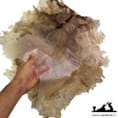 پوست تار طبیعی درجه 1 (تو دلی)